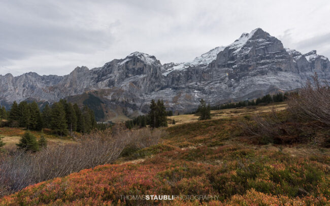 Herbst auf der Grossen Scheidegg