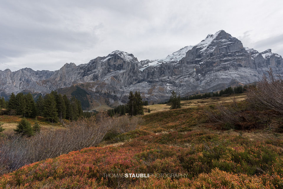 Herbst auf der Grossen Scheidegg