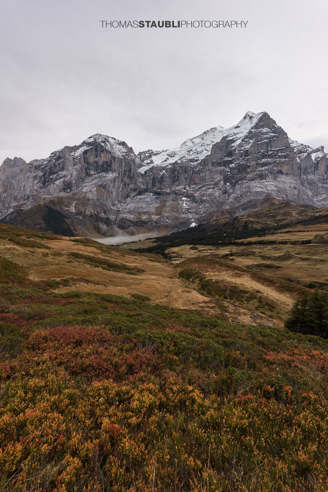Blick zum Wellhorn und Wetterhorn