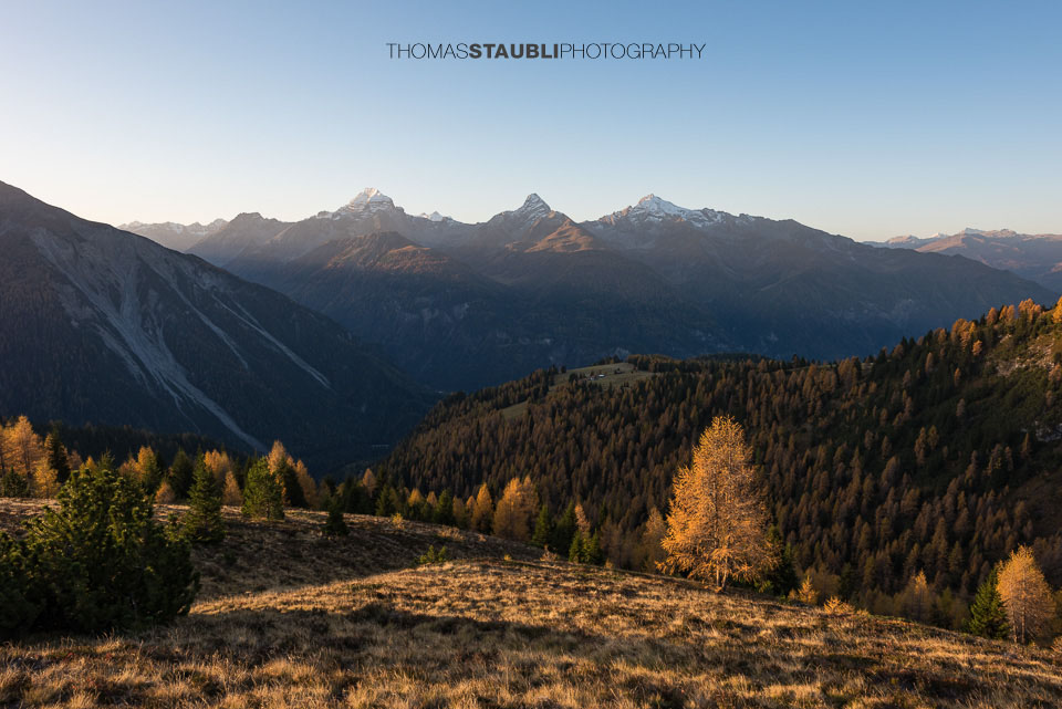 Bergpanorama auf der Wiesner Alp