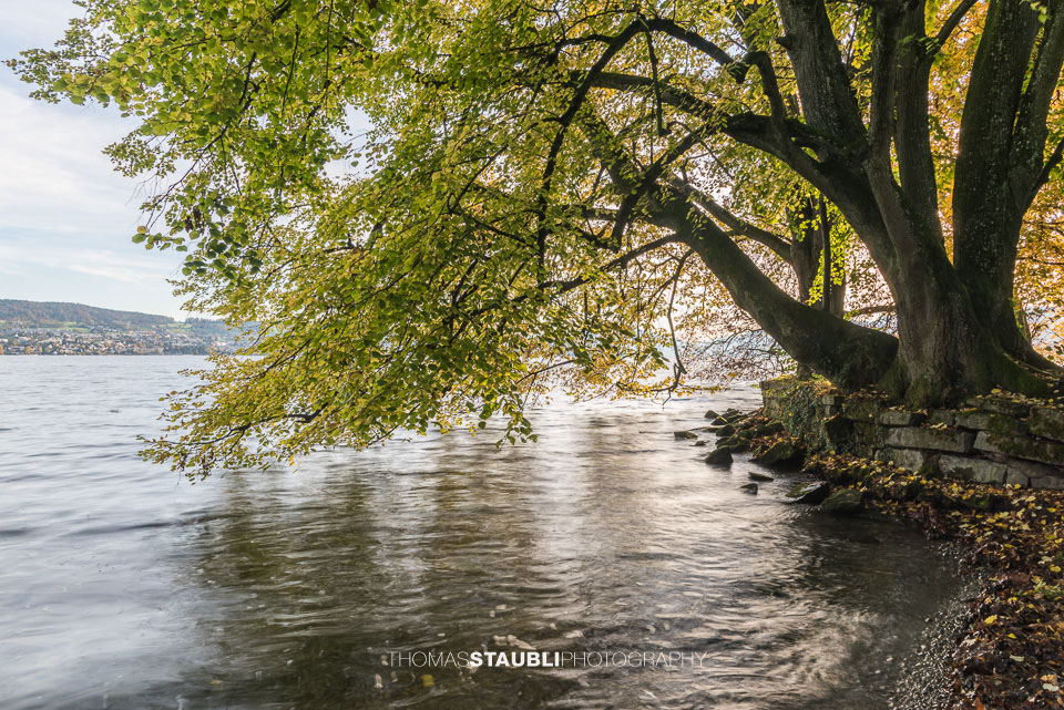 Impressionen am Zürichsee