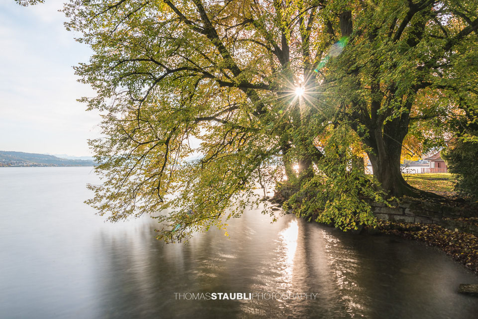 Impressionen am Zürichsee