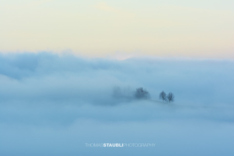 Bäumchen über dem Nebelmeer