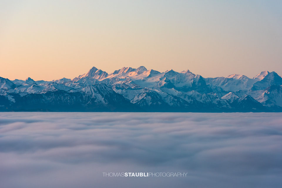 Blick vom Aussichtsturm Albis-Hochwacht