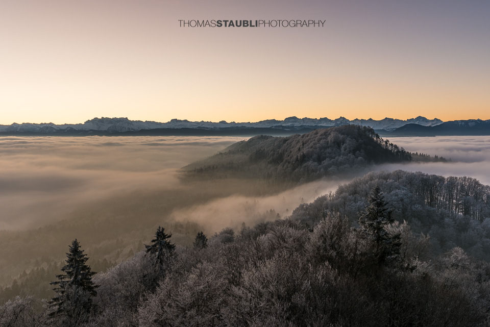 Blick vom Aussichtsturm Albis-Hochwacht