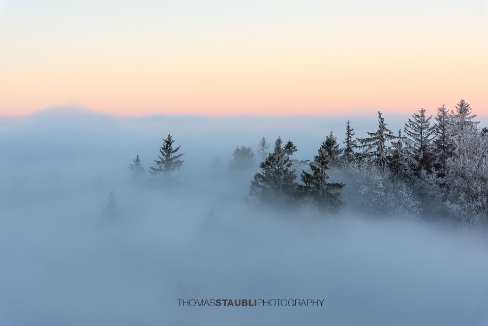 Blick vom Aussichtsturm Albis-Hochwacht