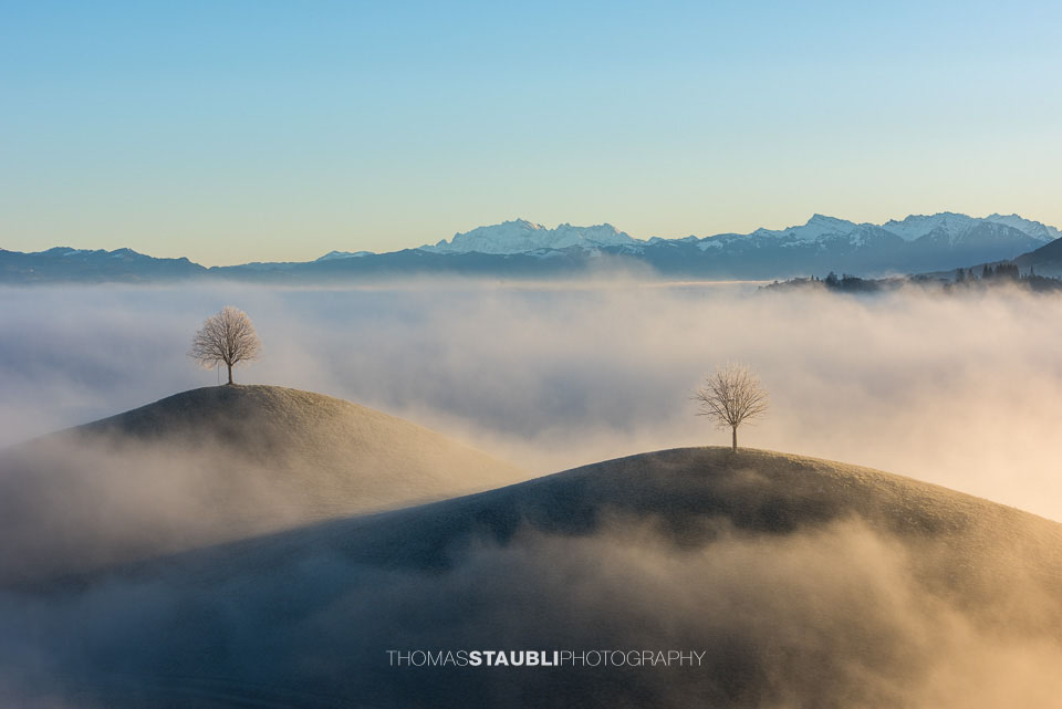 Nebel verzaubert die Landschaft
