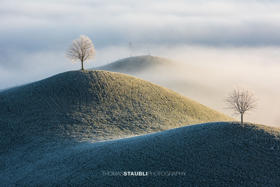 Nebel verzaubert die Landschaft