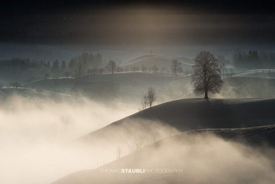 Nebel verzaubert die Landschaft