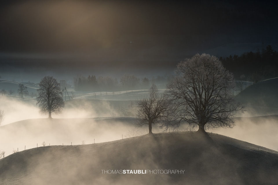Nebel verzaubert die Landschaft