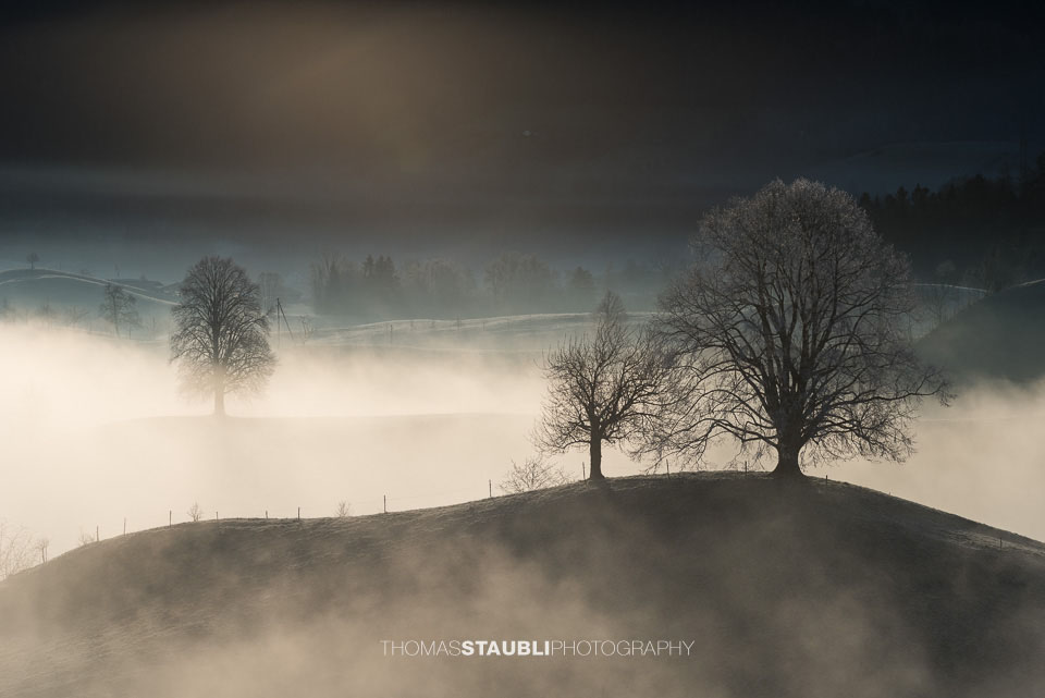 Nebel verzaubert die Landschaft