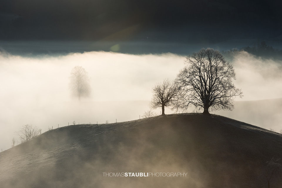 Nebel verzaubert die Landschaft