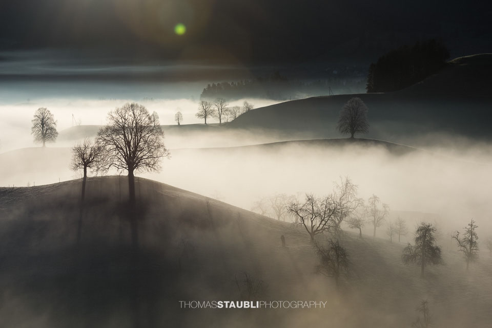 Nebel verzaubert die Landschaft