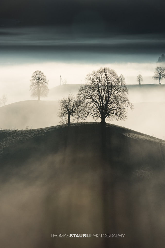 Nebel verzaubert die Landschaft