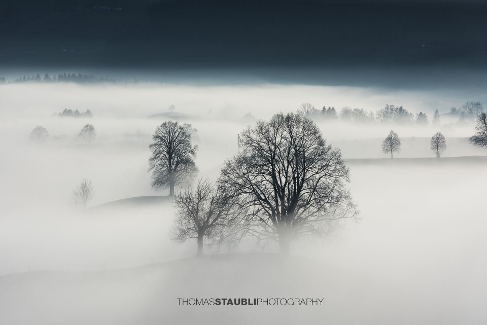 Nebel verzaubert die Landschaft