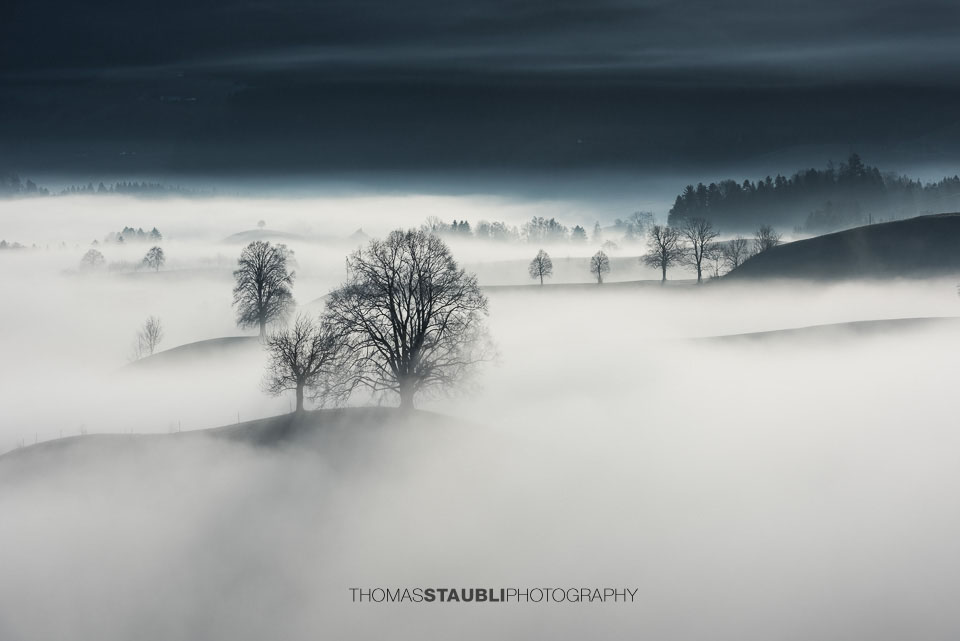 Nebel verzaubert die Landschaft