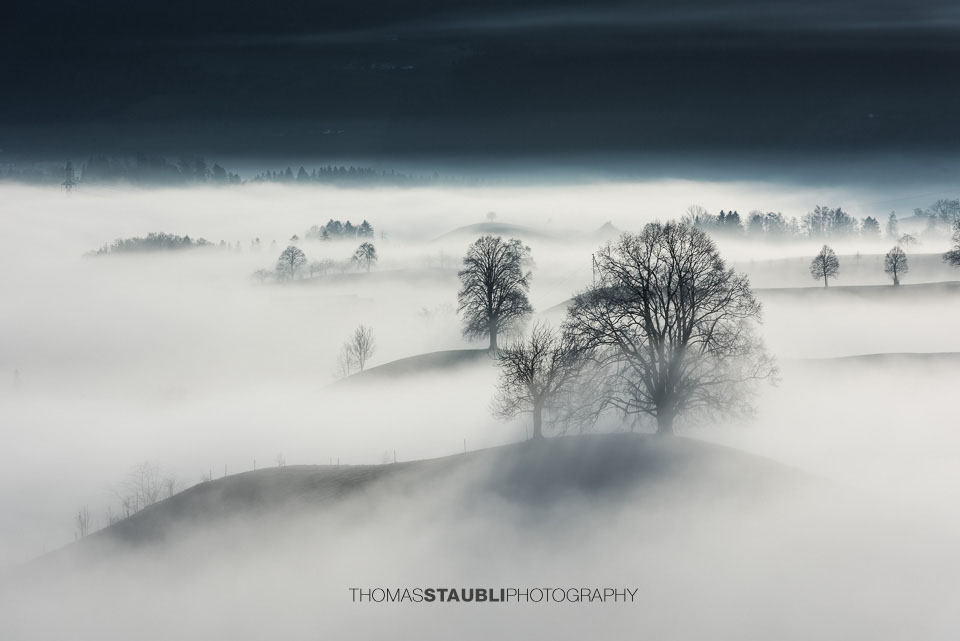 Nebel verzaubert die Landschaft