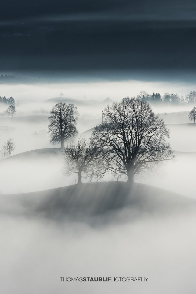Nebel verzaubert die Landschaft