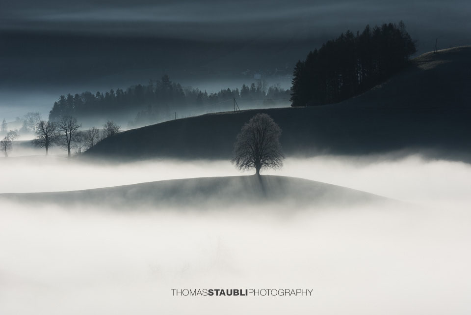 Nebel verzaubert die Landschaft