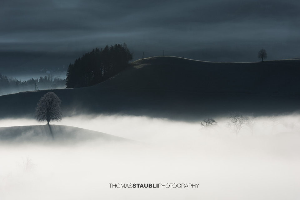 Nebel verzaubert die Landschaft