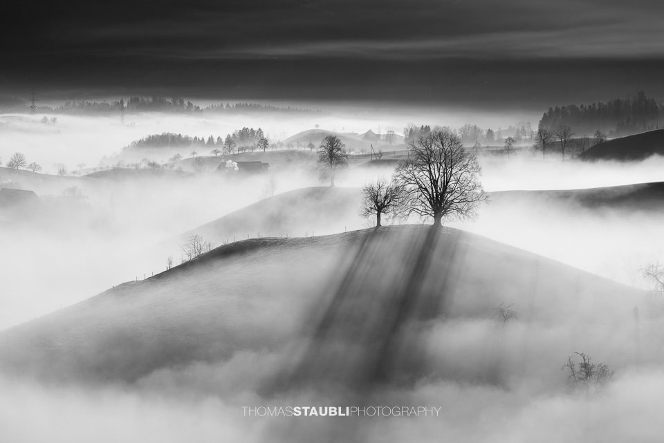 Nebel verzaubert die Landschaft
