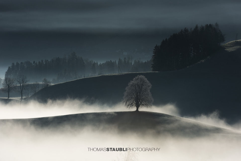 Nebel verzaubert die Landschaft