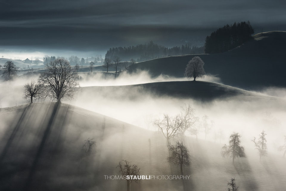 Nebel verzaubert die Landschaft