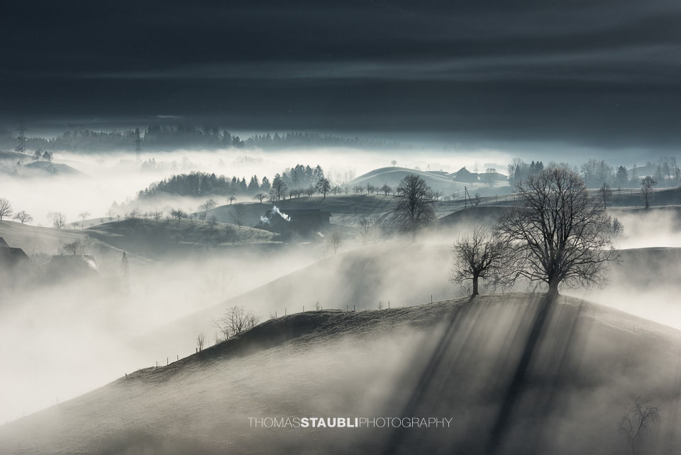 Nebel verzaubert die Landschaft