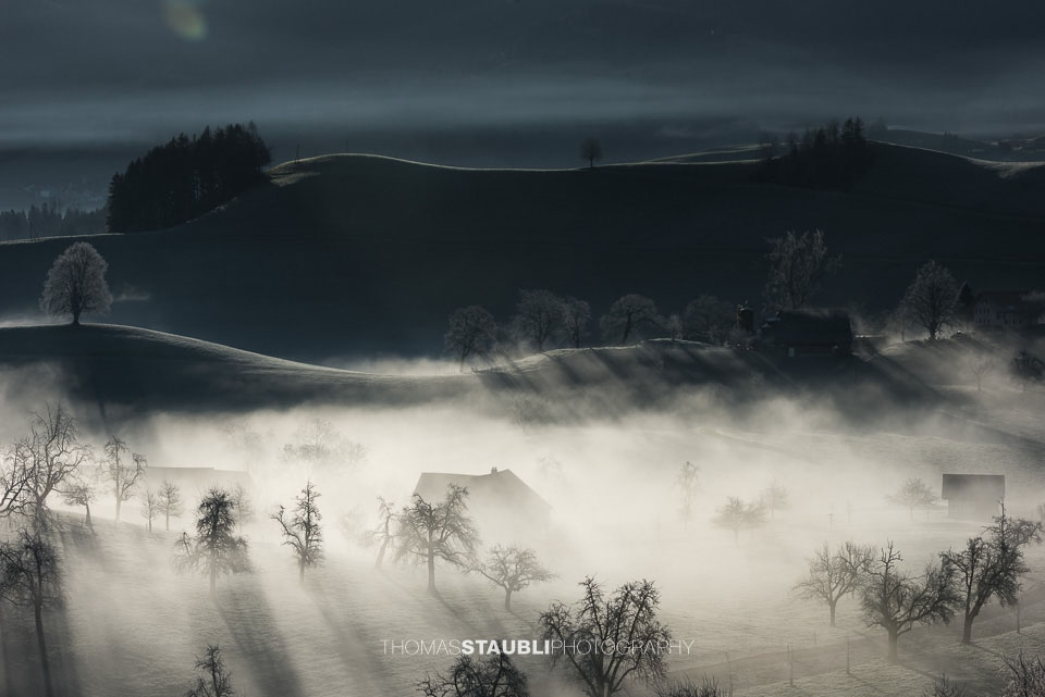 Nebel verzaubert die Landschaft