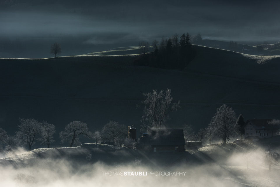 Nebel verzaubert die Landschaft