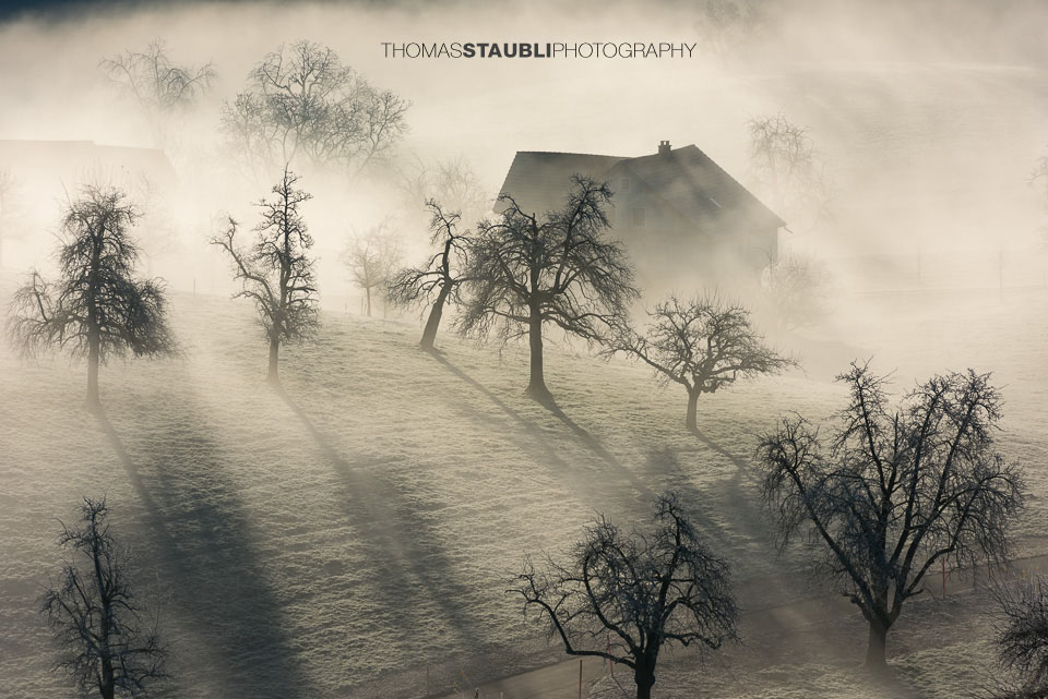 Nebel verzaubert die Landschaft