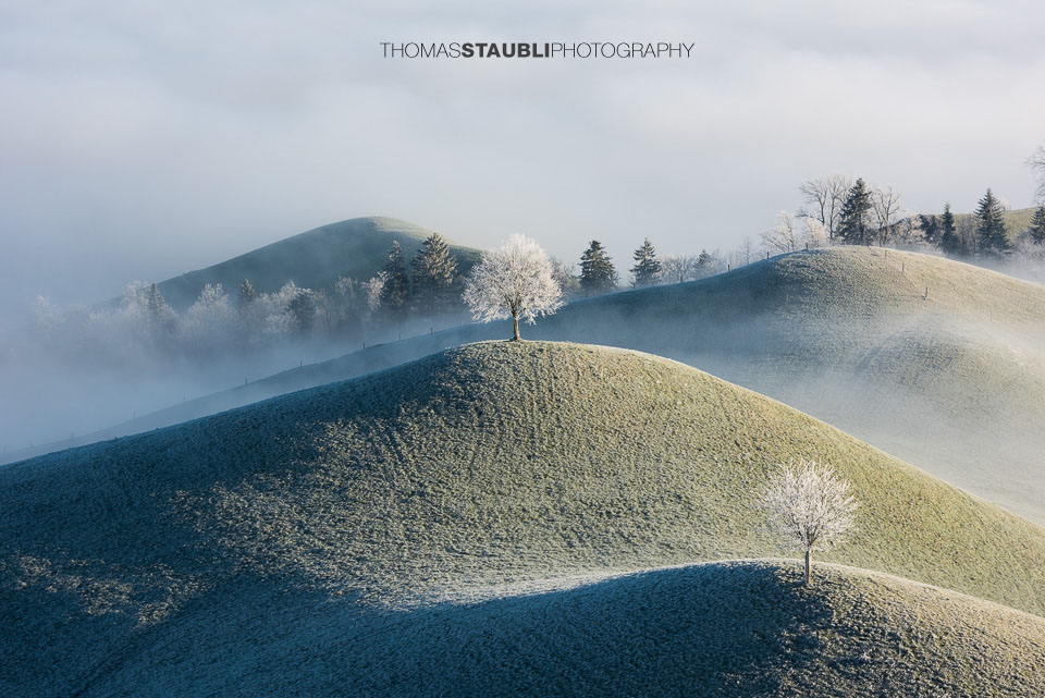 Nebel verzaubert die Landschaft