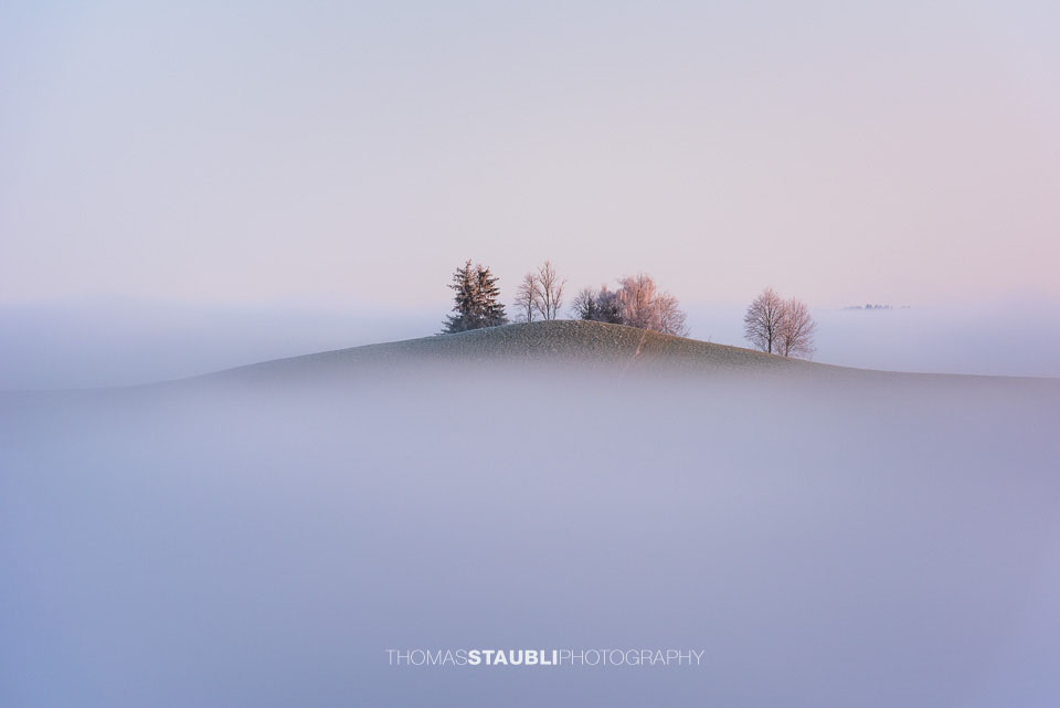 Bäume über dem Nebelmeer