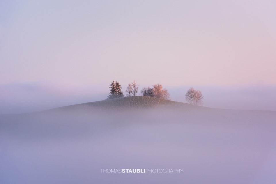 Bäume über dem Nebelmeer