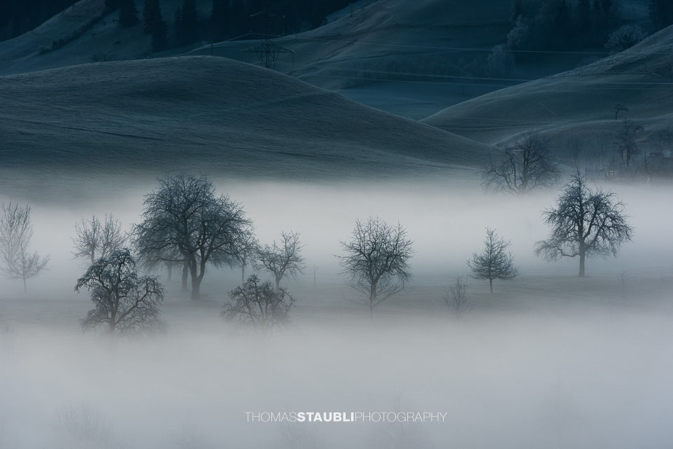 Bodennebel verzaubert die Landschaft