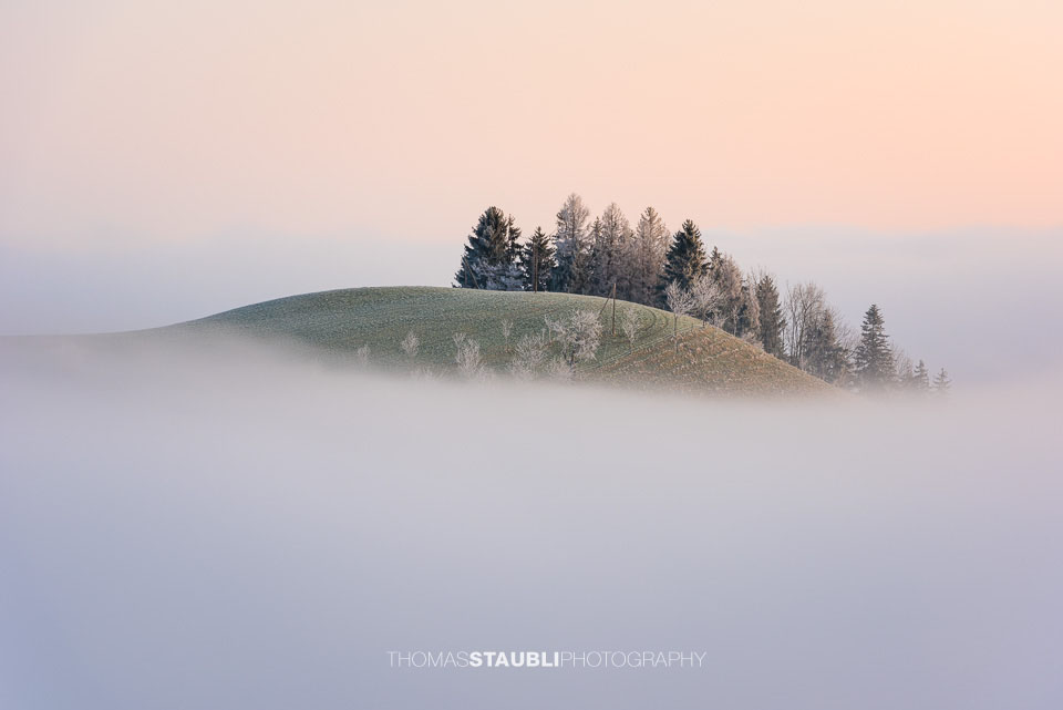 Bäume über dem Nebelmeer