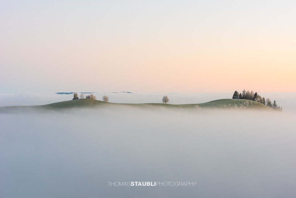 Bäume über dem Nebelmeer