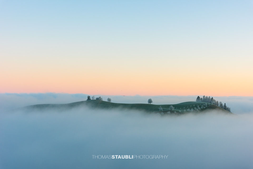 Bäume über dem Nebelmeer