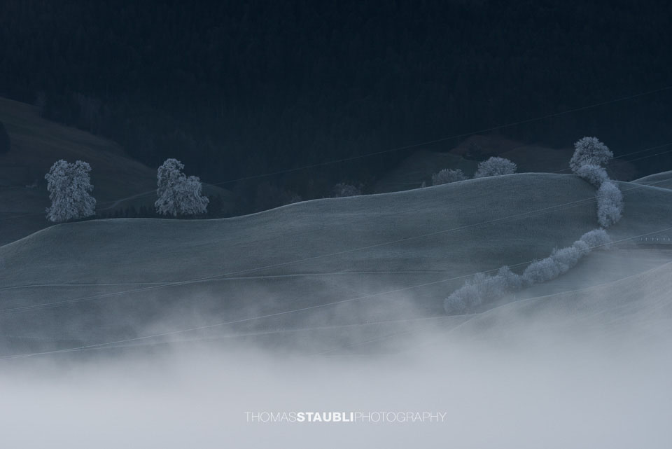 Bodennebel verzaubert die Landschaft
