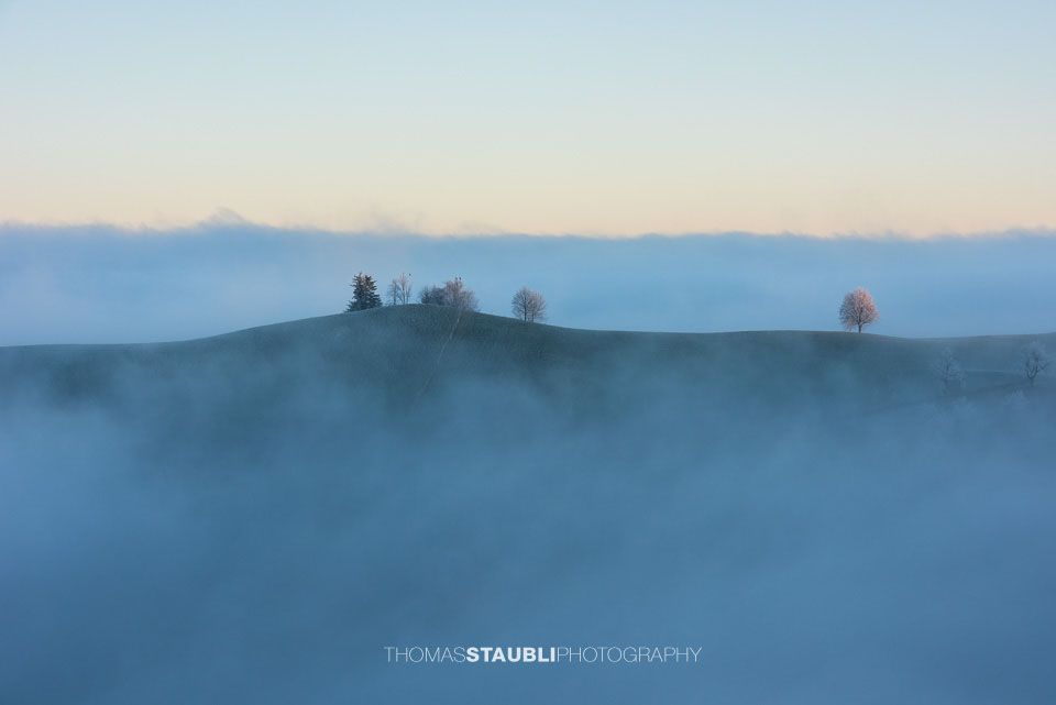 Bäume über dem Nebelmeer
