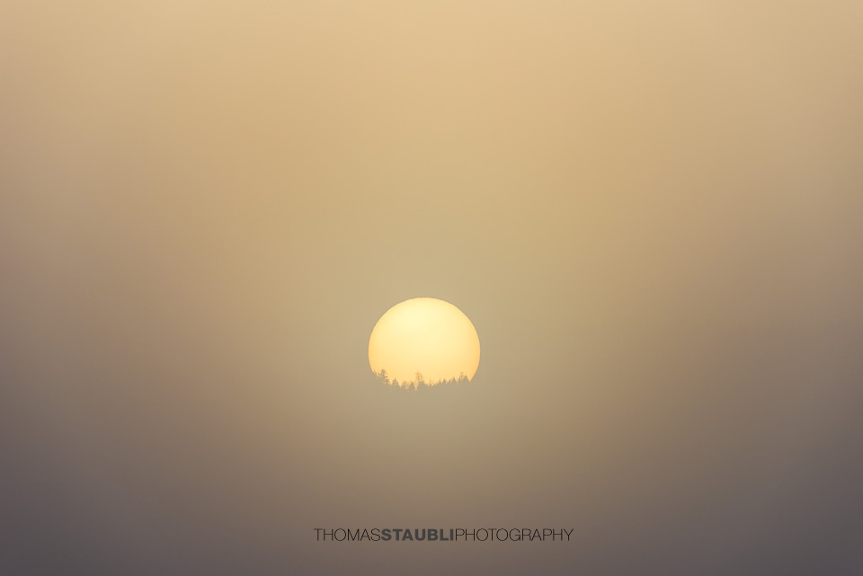 die Sonne durchdringt den Nebel