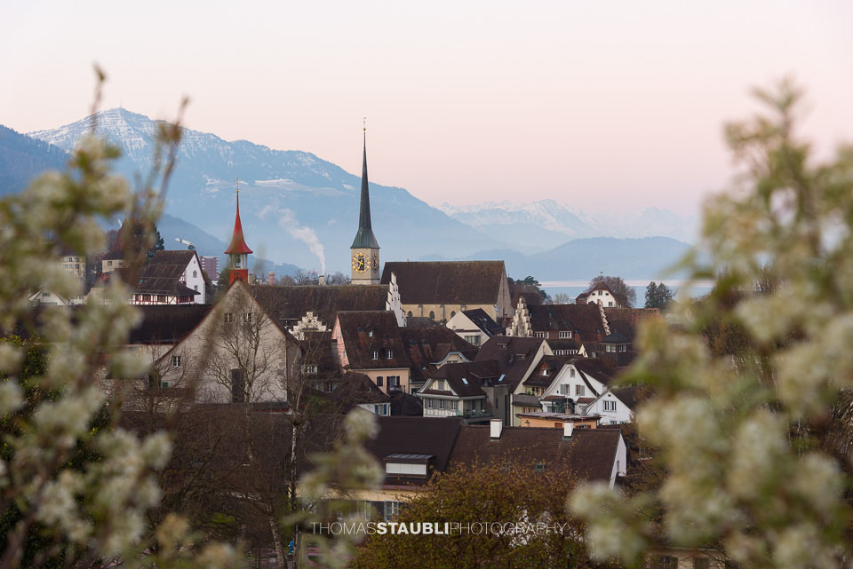 Blick zur Zuger Altstadt