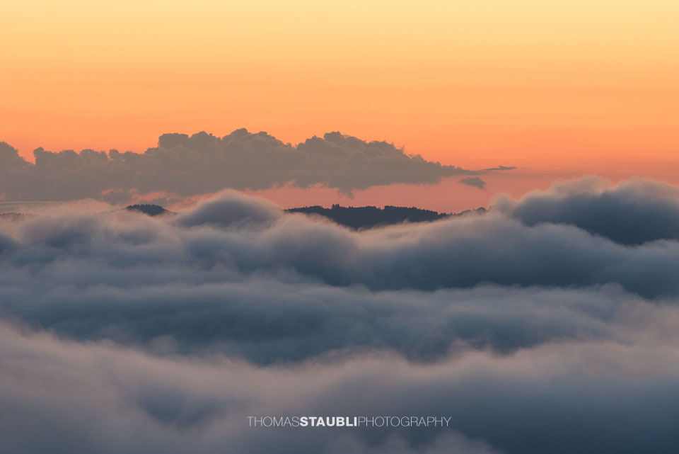 Blick vom Aussichtsturm Albis-Hochwacht
