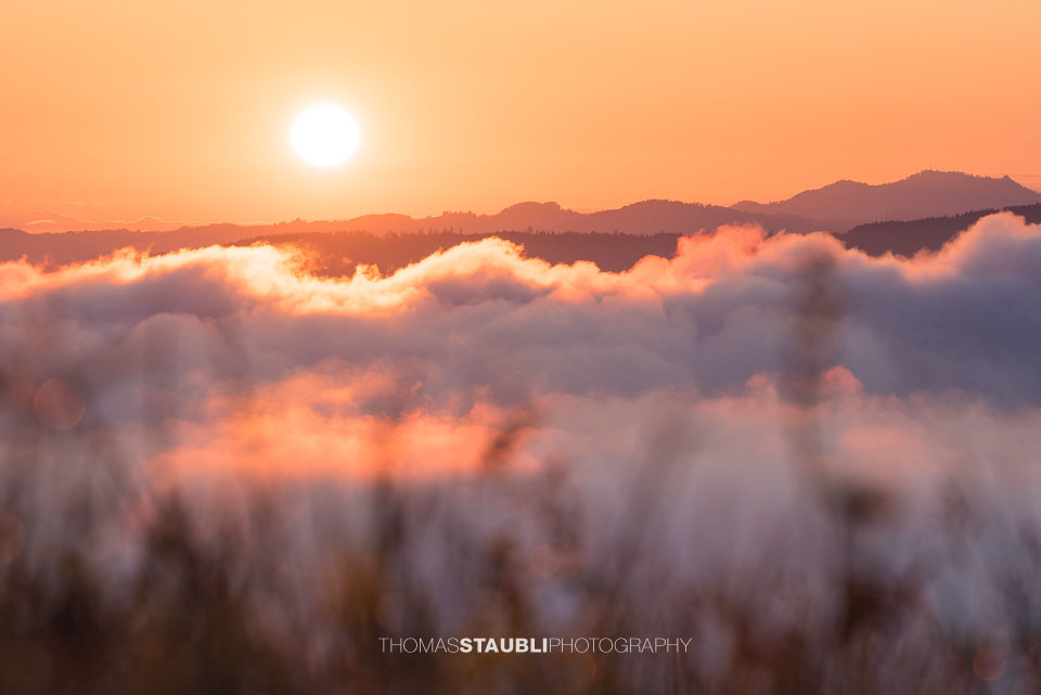 Blick vom Aussichtsturm Albis-Hochwacht