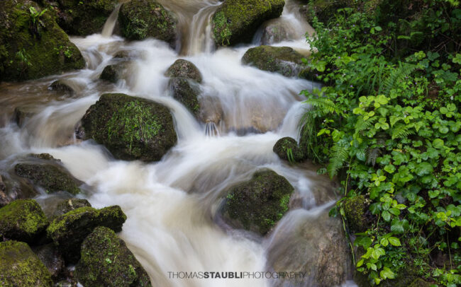 fliessendes Wasser in einem Bach mit moosbedeckten Steinen
