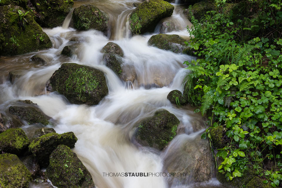 fliessendes Wasser in einem Bach mit moosbedeckten Steinen
