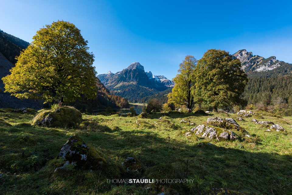 Herbst am Obersee