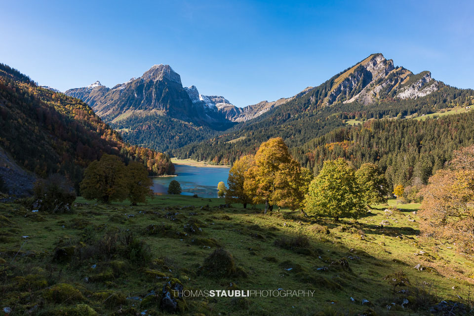 Herbst am Obersee