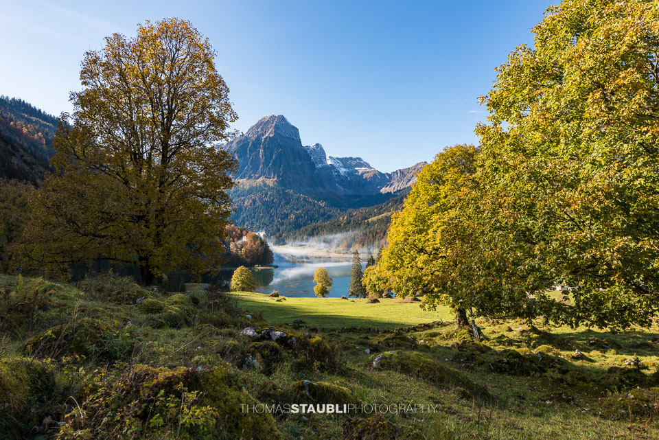 Herbst am Obersee