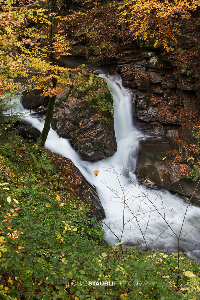 Herbstimpressionen an einem fliessender Bach